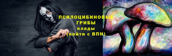 марки lsd Козельск