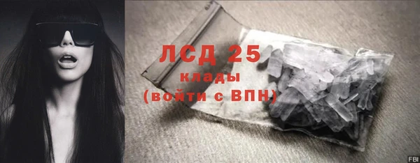 прущие грибы Абдулино