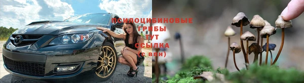 молекула духа Абинск