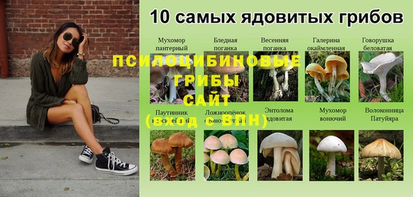 спиды Алексин