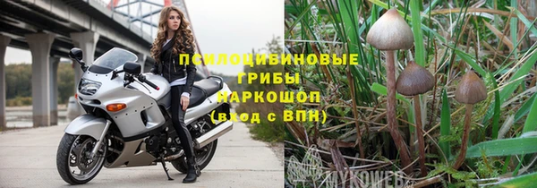 молекула духа Абинск