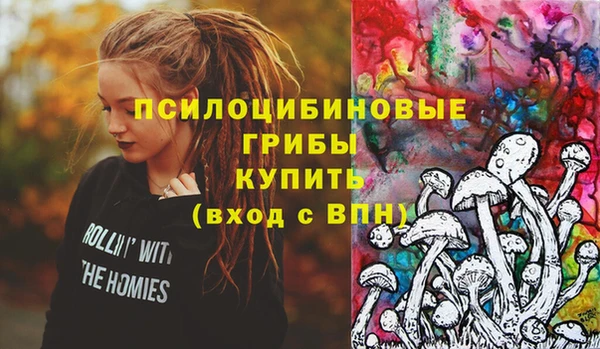 спиды Алексин