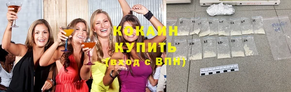 соль ск Абаза