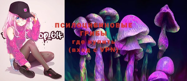 спиды Алексин