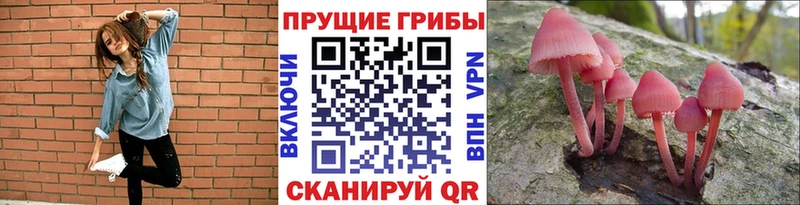 сколько стоит  Устюжна  Галлюциногенные грибы Magic Shrooms 